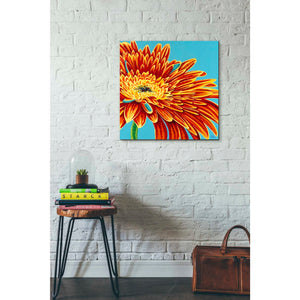 'Color Bursts I' by Carolee Vitaletti, Giclee Canvas Wall Art