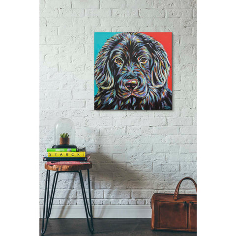 Image of 'Canine Buddy I' by Carolee Vitaletti, Giclee Canvas Wall Art