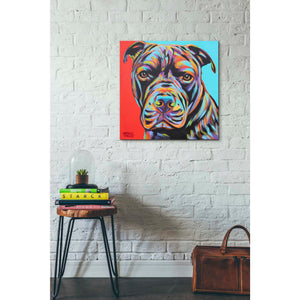 'Canine Buddy III' by Carolee Vitaletti, Giclee Canvas Wall Art