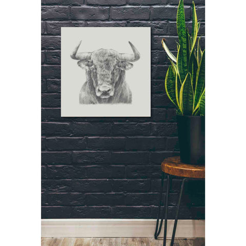 Image of 'Black and White Bull' by Ethan Harper, Canvas Wall Art,26 x 26
