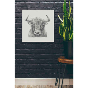 'Black and White Bull' by Ethan Harper, Canvas Wall Art,26 x 26