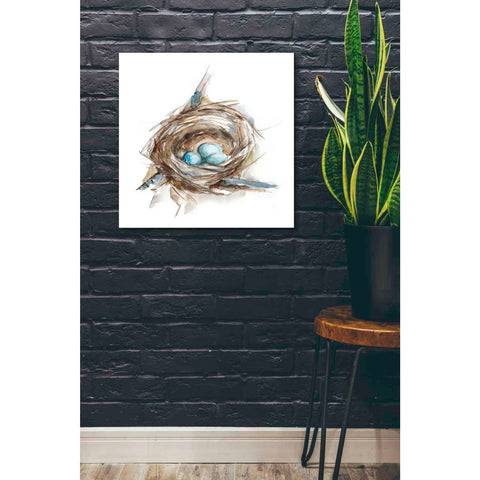 Image of 'Bird Nest Study II' by Ethan Harper, Canvas Wall Art,26 x 26