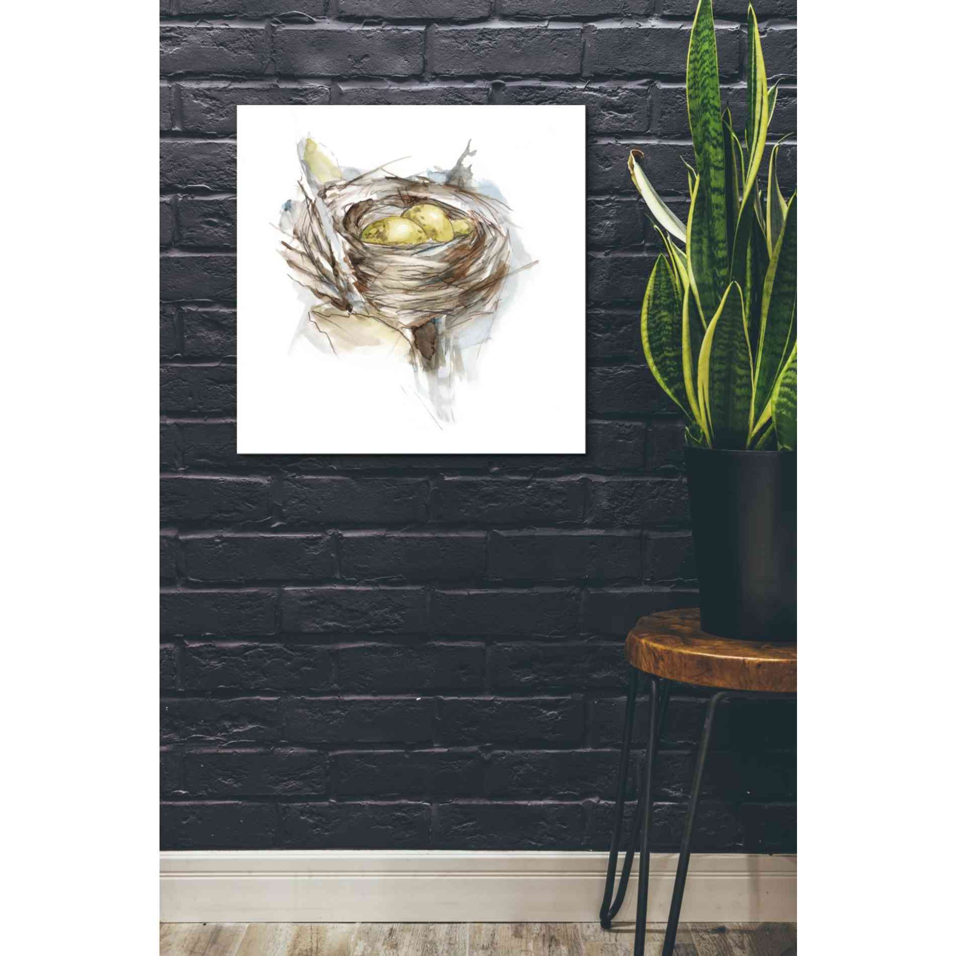 'Bird Nest Study III' by Ethan Harper, Canvas Wall Art,26 x 26