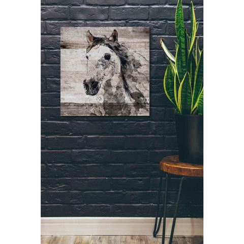 Image of 'Sparkle Horse 4' by Irena Orlov, Canvas Wall Art,26 x 26