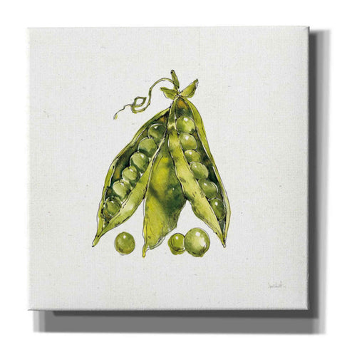 Image of 'Veggie Market IV Peas' by Anne Tavoletti, Canvas Wall Art,26 x 26