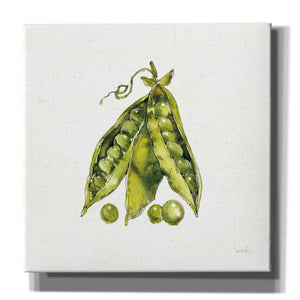 'Veggie Market IV Peas' by Anne Tavoletti, Canvas Wall Art,26 x 26