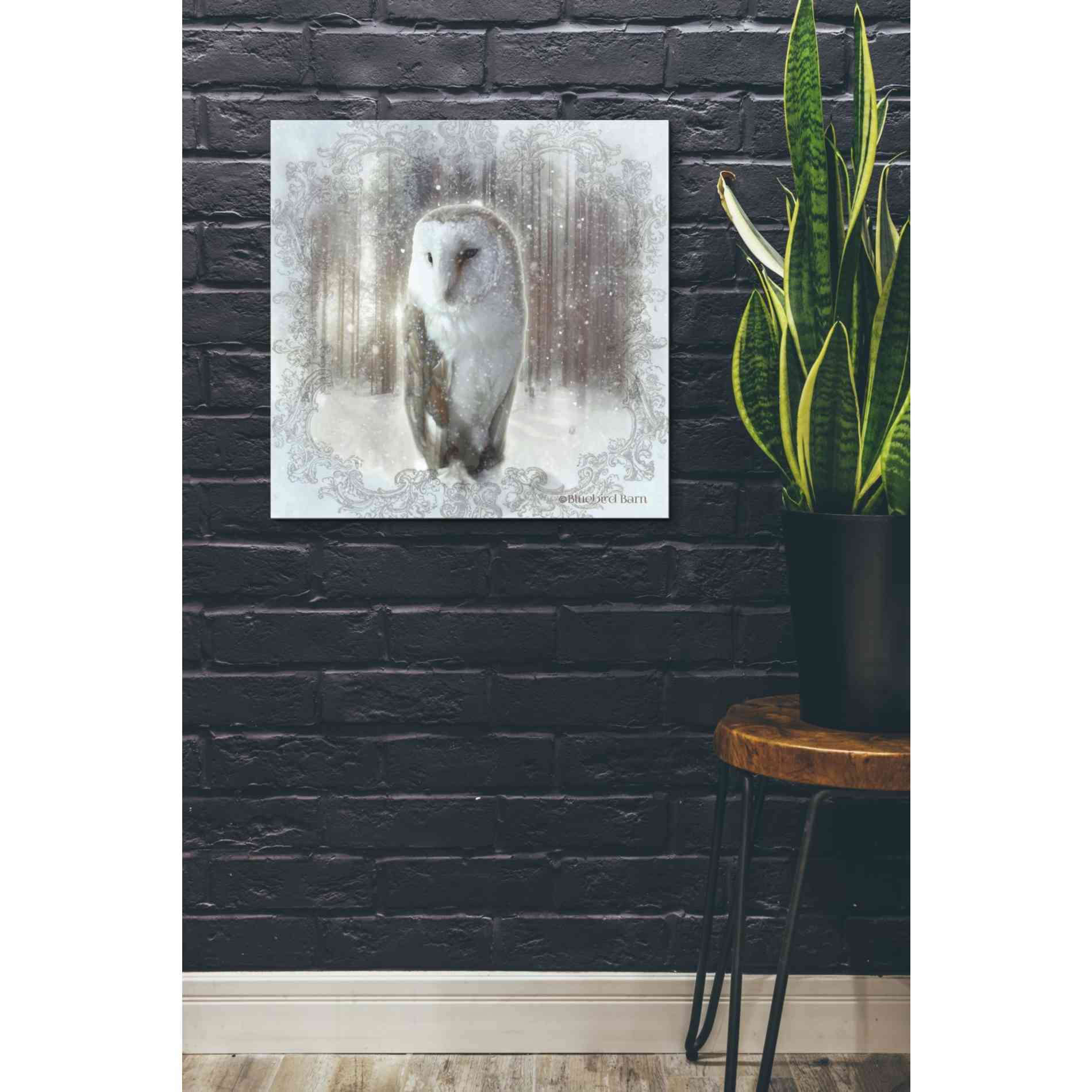 'Enchanted Winter Owl' by Bluebird Barn, Canvas Wall Art,26 x 26