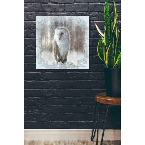 Image of 'Enchanted Winter Owl' by Bluebird Barn, Canvas Wall Art,26 x 26
