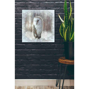 'Enchanted Winter Owl' by Bluebird Barn, Canvas Wall Art,26 x 26