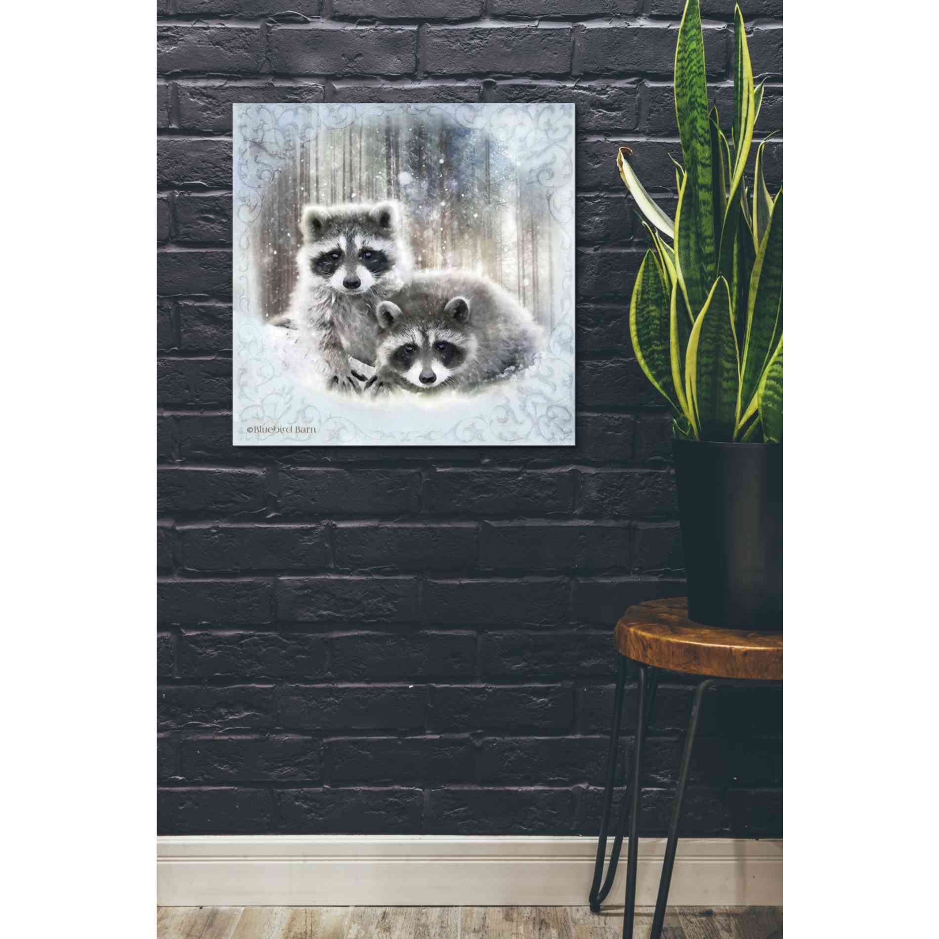 'Enchanted Winter Raccoons' by Bluebird Barn, Canvas Wall Art,26 x 26