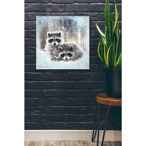 'Enchanted Winter Raccoons' by Bluebird Barn, Canvas Wall Art,26 x 26