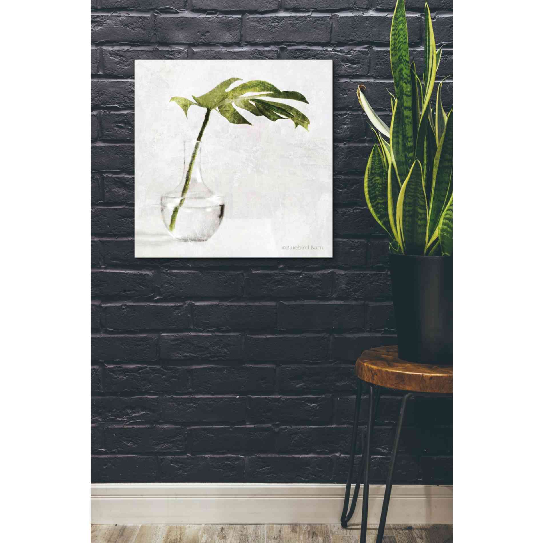 'Single Green Stem in Glass' by Bluebird Barn, Canvas Wall Art,26 x 26