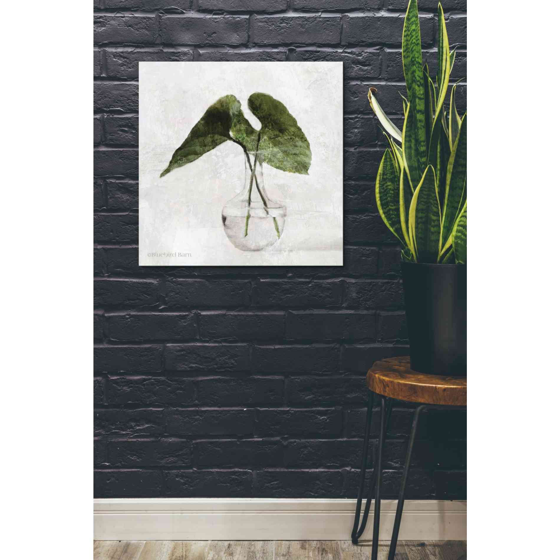 'Stems in Glass' by Bluebird Barn, Canvas Wall Art,26 x 26