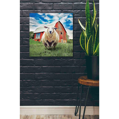 Image of 'Sunday Afternoon Sheep Pose' by Bluebird Barn, Canvas Wall Art,26 x 26