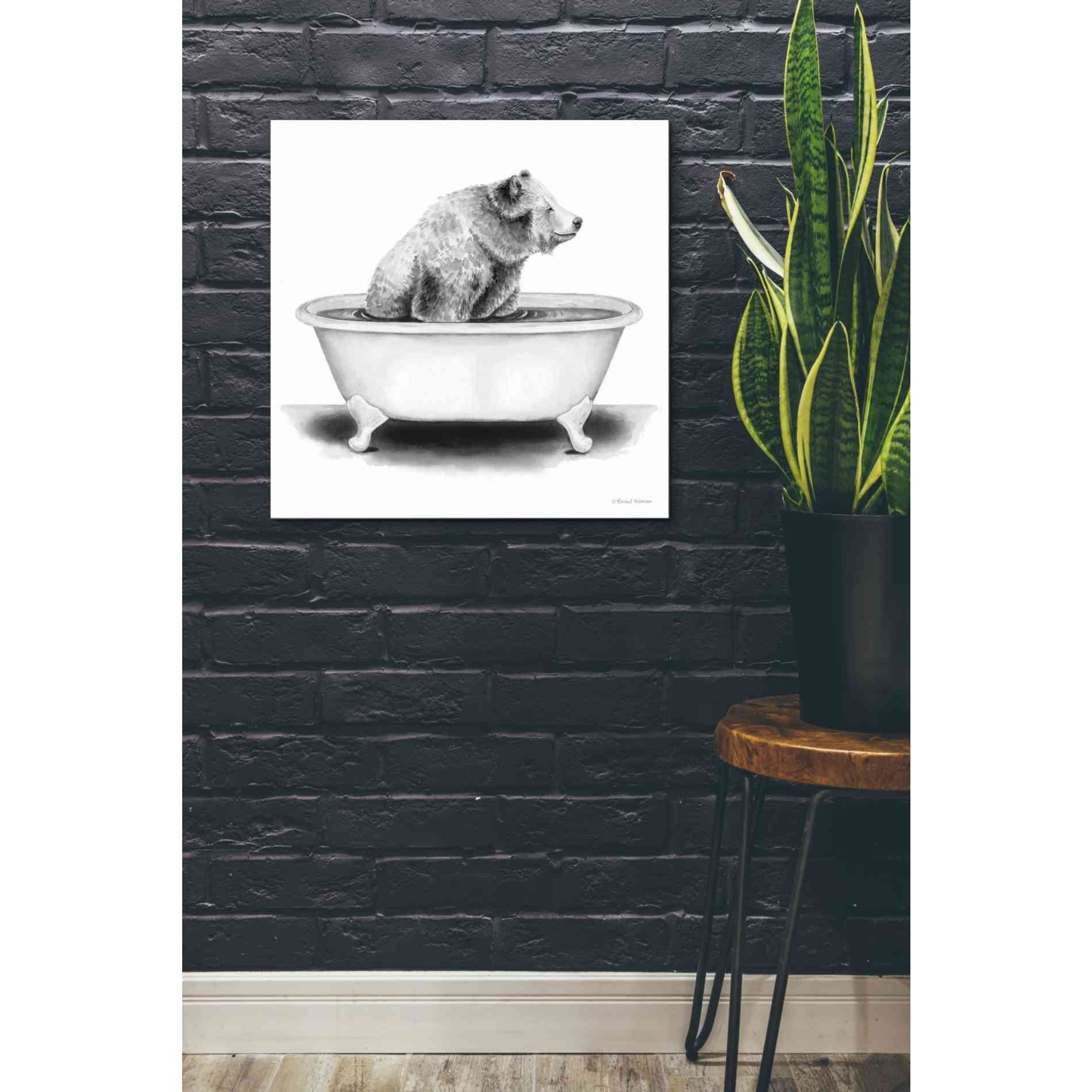 'Bear in Tub' by Rachel Nieman, Canvas Wall Art,26 x 26
