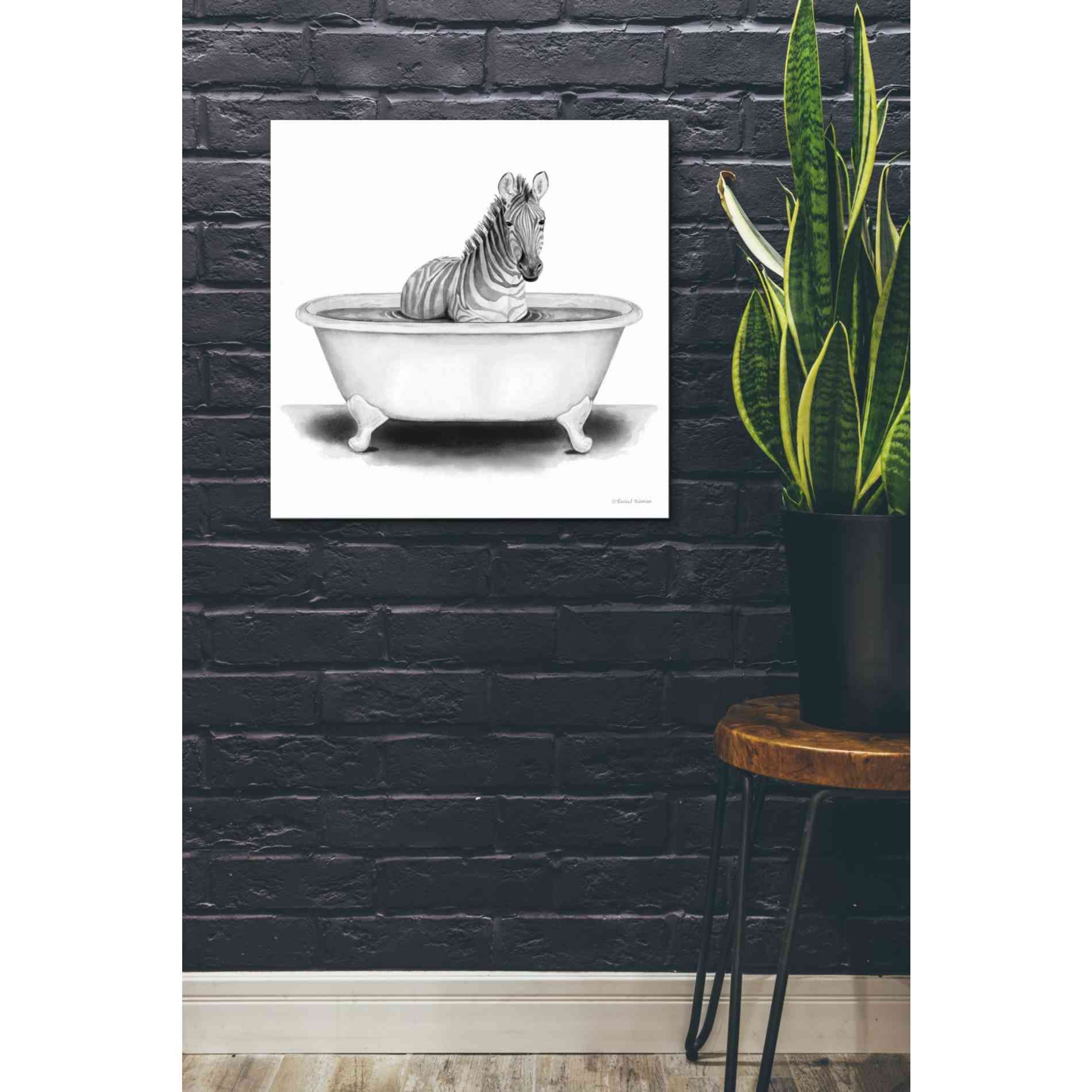 'Zebra in Tub' by Rachel Nieman, Canvas Wall Art,26 x 26