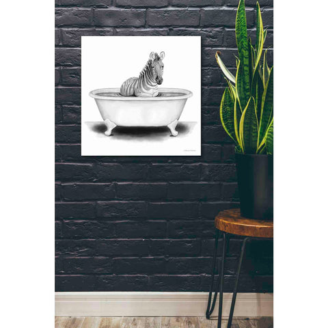 Image of 'Zebra in Tub' by Rachel Nieman, Canvas Wall Art,26 x 26