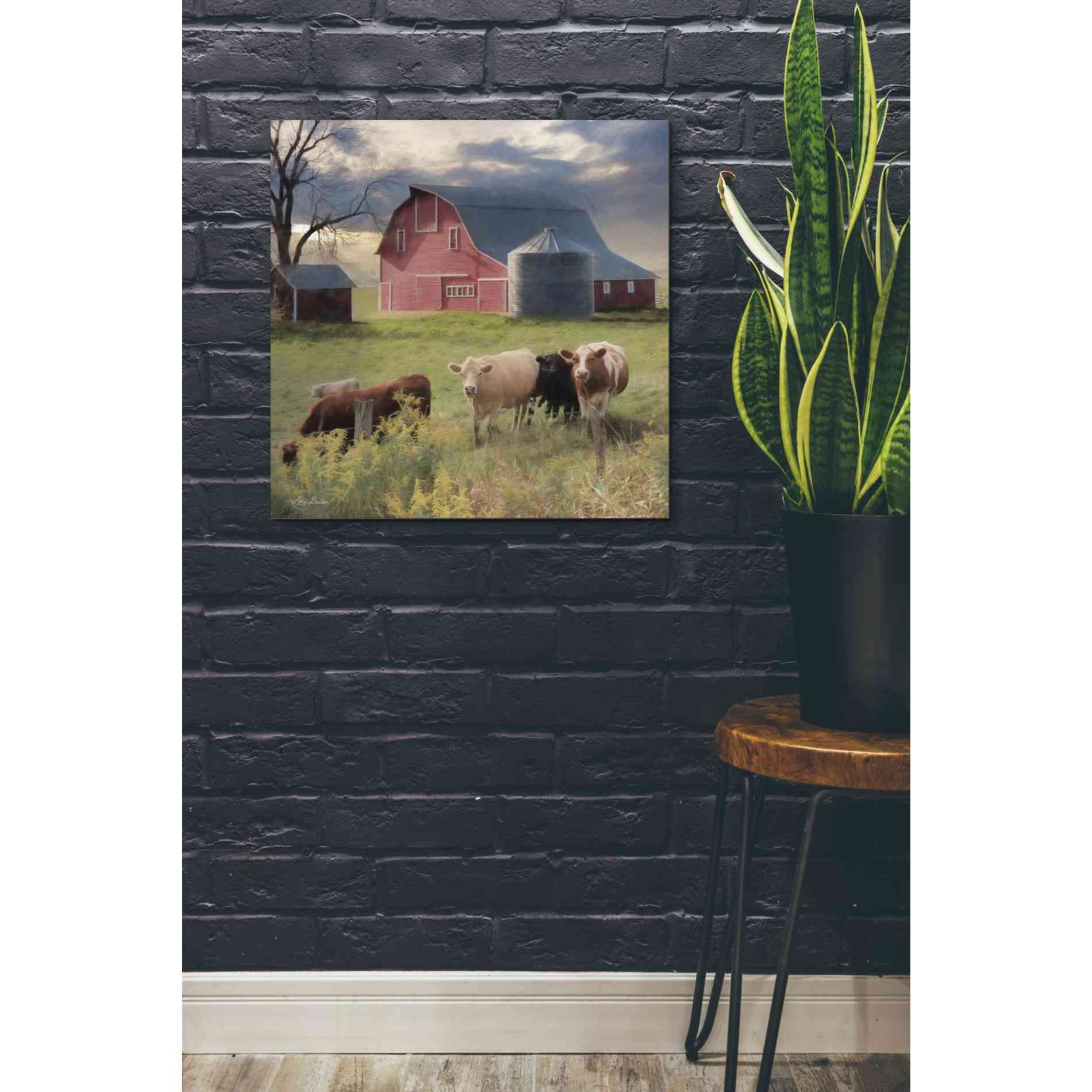 'Wyoming Sunset' by Lori Deiter, Canvas Wall Art,26 x 26