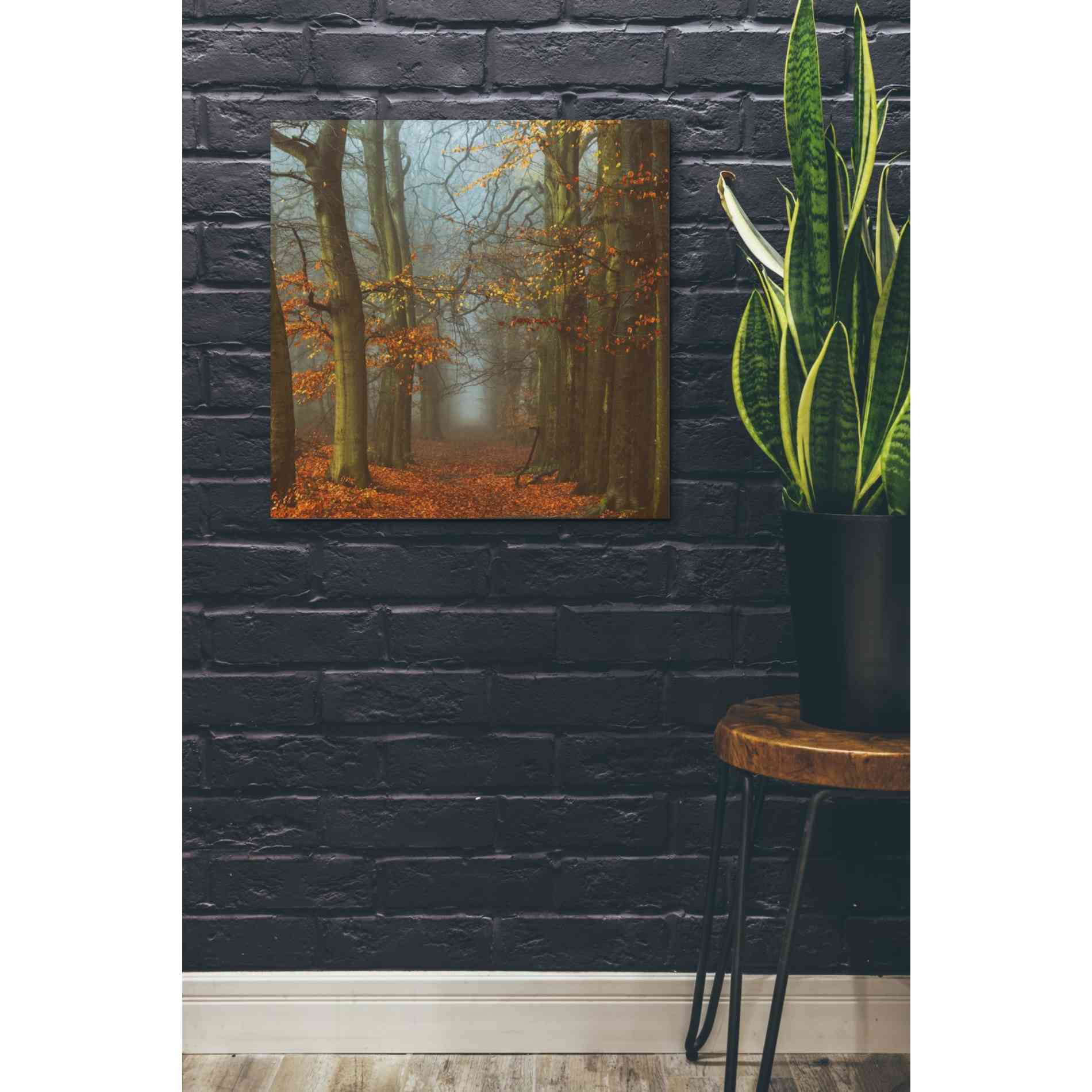 'Path of The Mystics' by Lars van de Goor, Giclee Canvas Wall Art