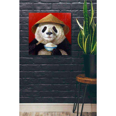 Image of 'Panda' by Lucia Heffernan, Canvas Wall Art,26 x 26