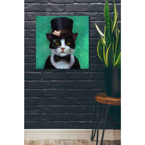 'Tuxedo Cat' by Lucia Heffernan, Canvas Wall Art,26 x 26