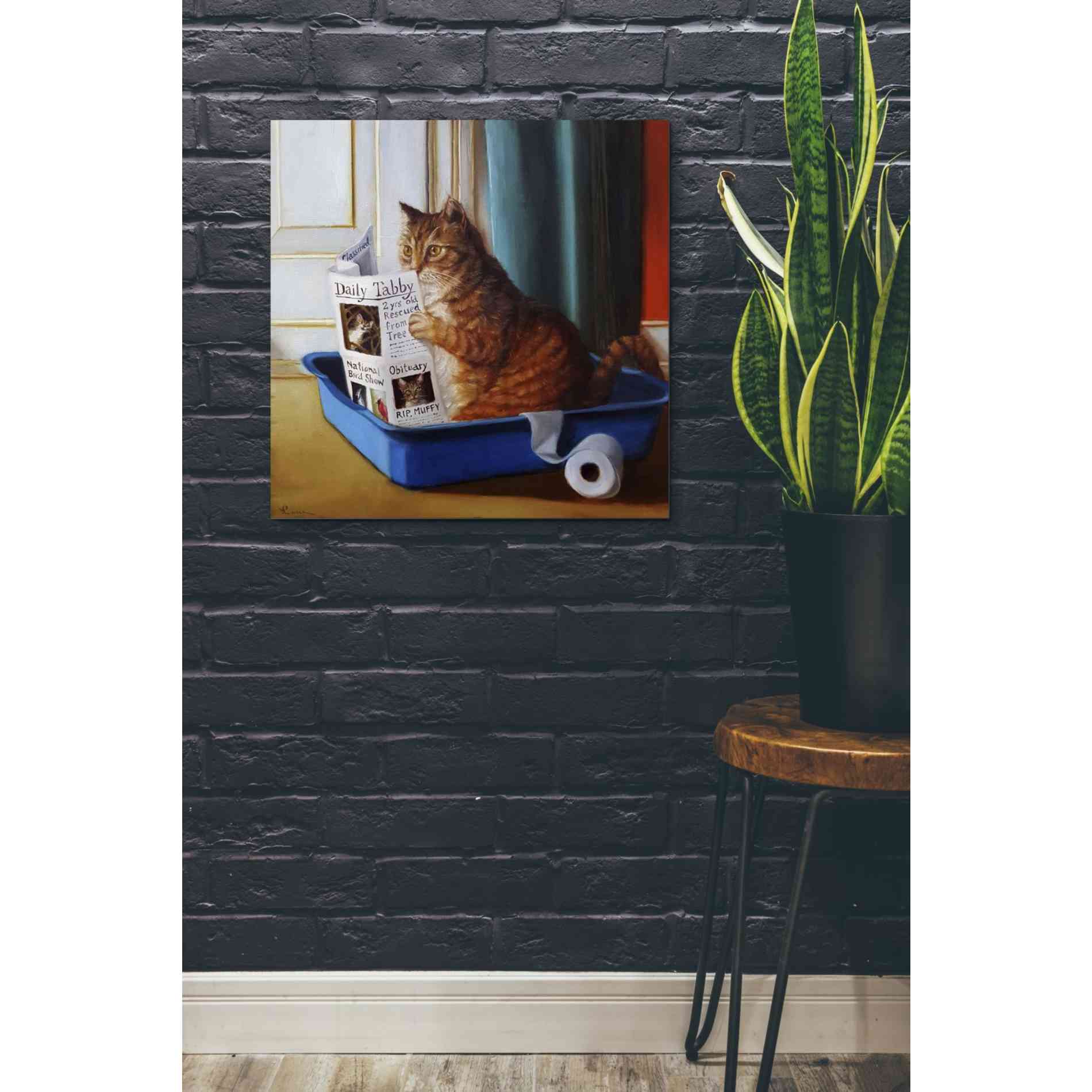 'Kitty Throne' by Lucia Heffernan, Canvas Wall Art,26 x 26