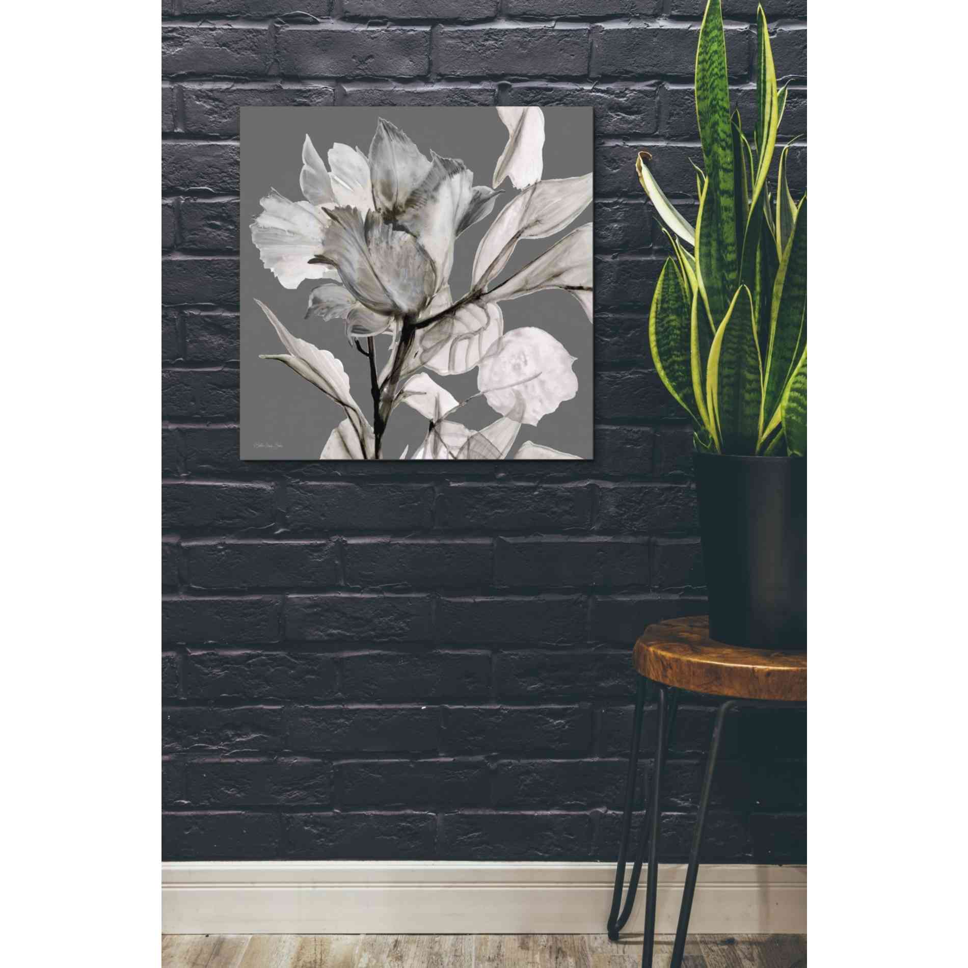 'Floral in Gray 2' by Stellar Design Studio, Canvas Wall Art,26 x 26