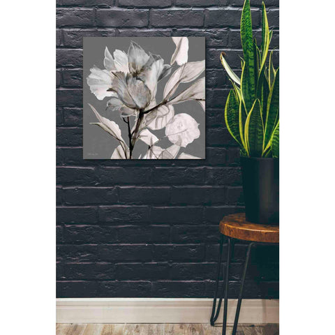 Image of 'Floral in Gray 2' by Stellar Design Studio, Canvas Wall Art,26 x 26