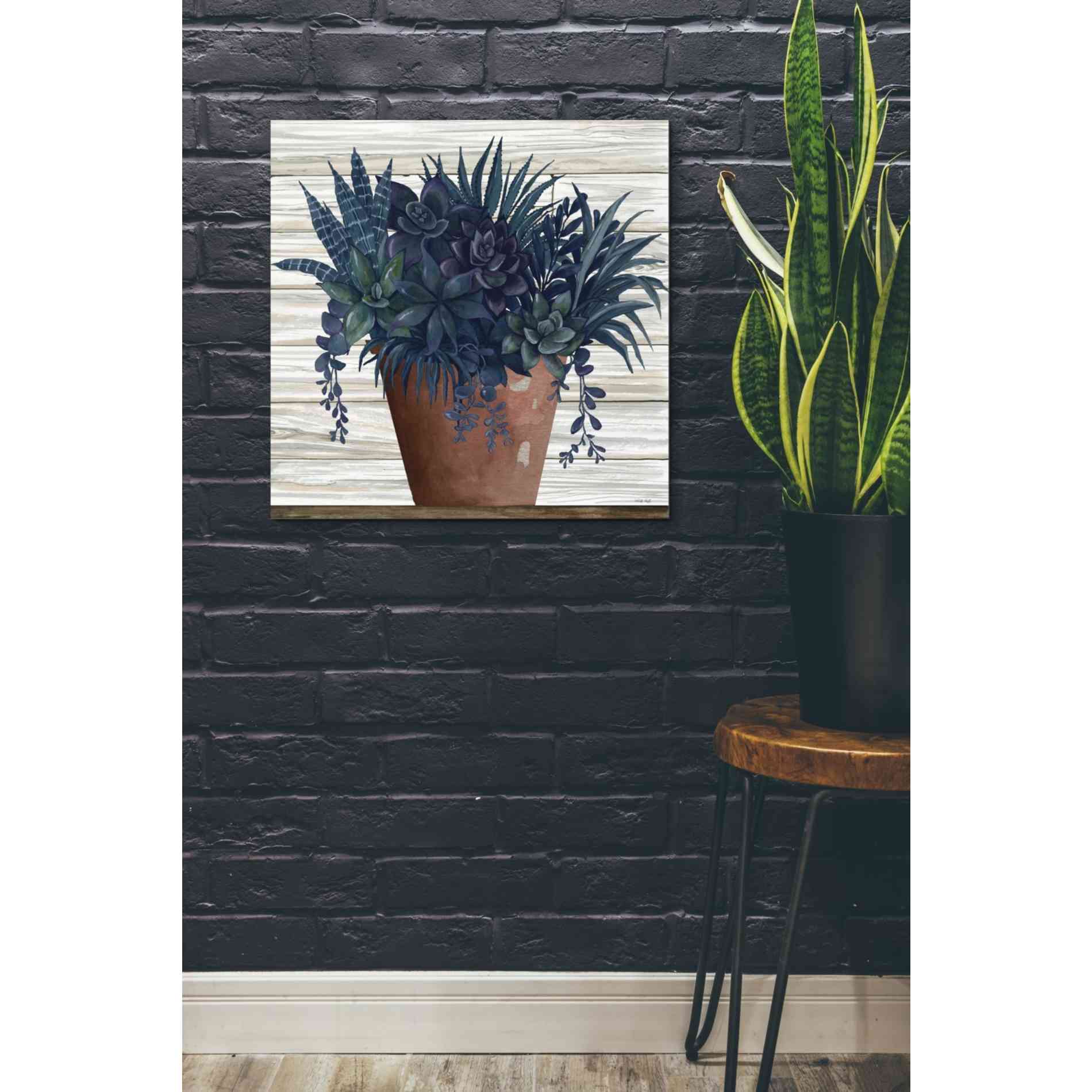 'Remarkable Succulents II' by Cindy Jacobs, Giclee Canvas Wall Art