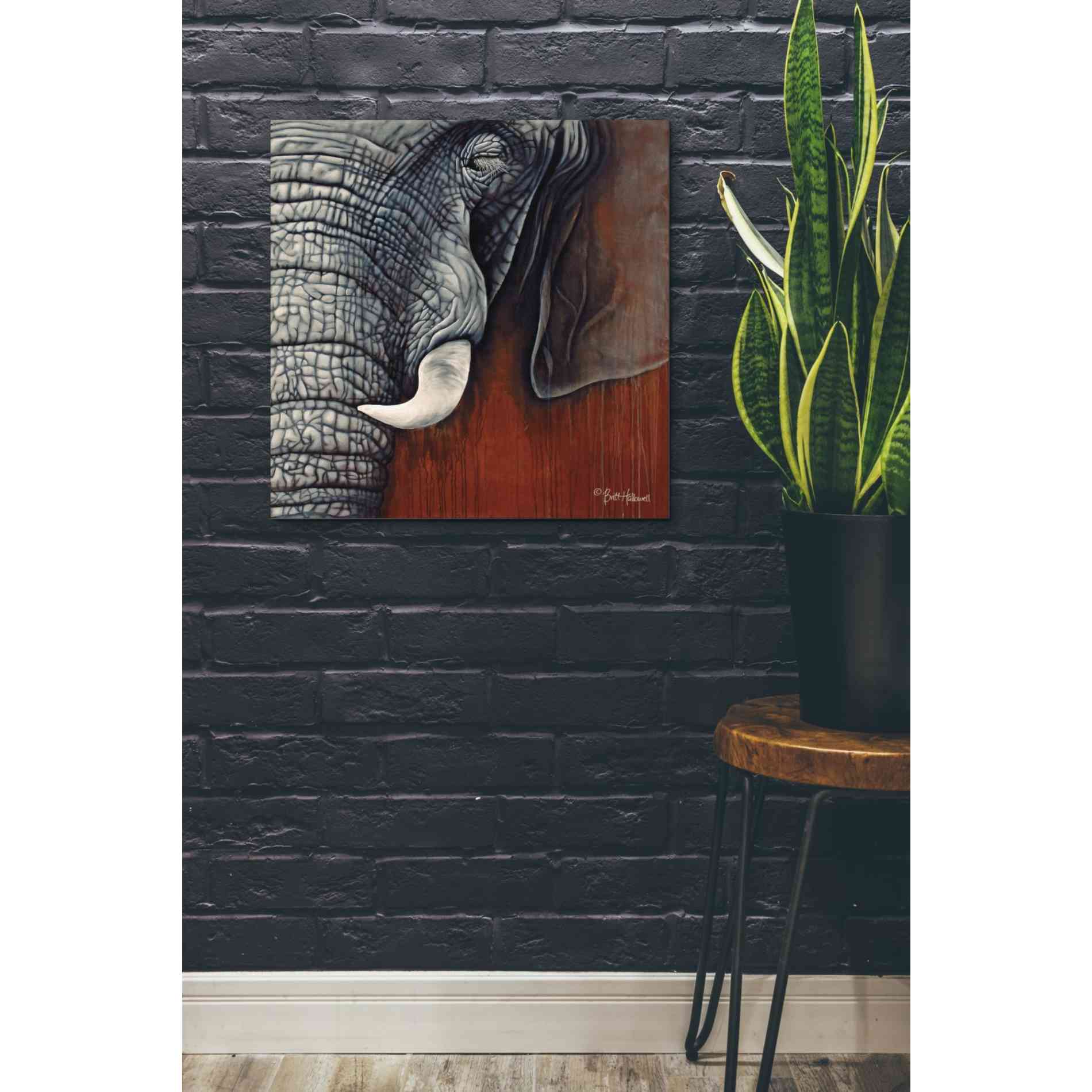 'Revering Tembo' by Britt Hallowell, Canvas Wall Art,26 x 26