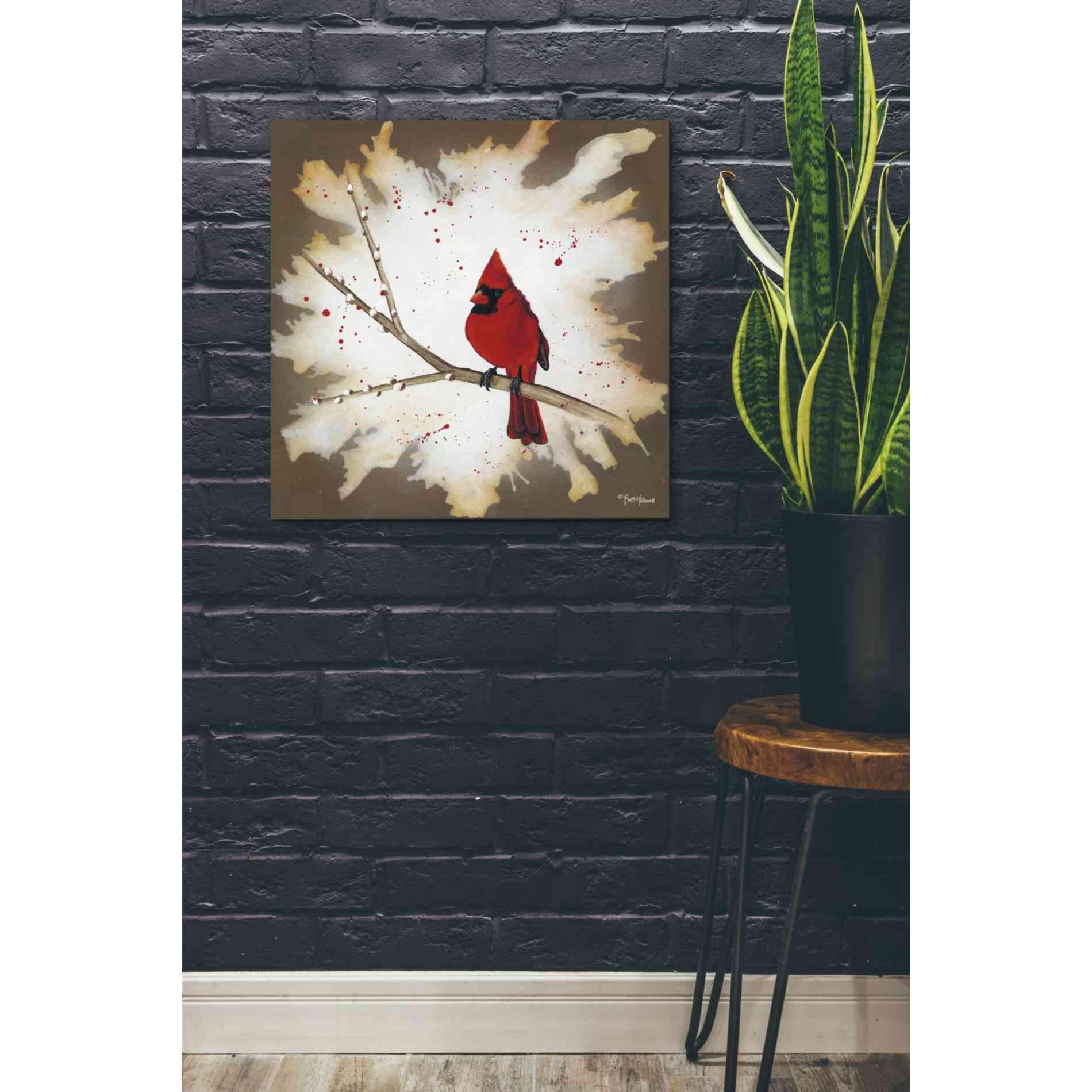 'Weathered Friends - Cardinal' by Britt Hallowell, Canvas Wall Art,26 x 26
