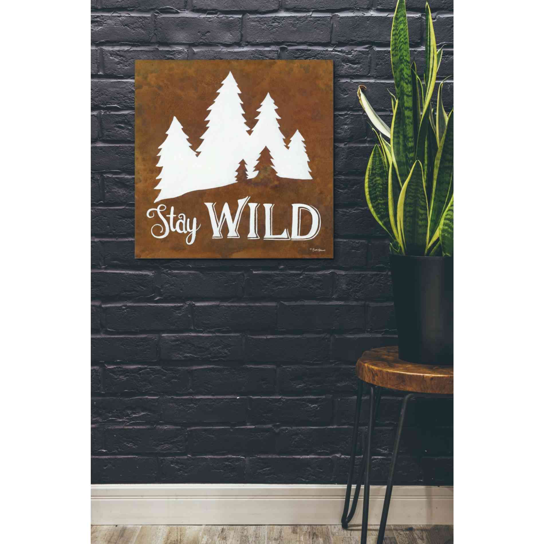 'Stay Wild' by Britt Hallowell, Canvas Wall Art,26 x 26