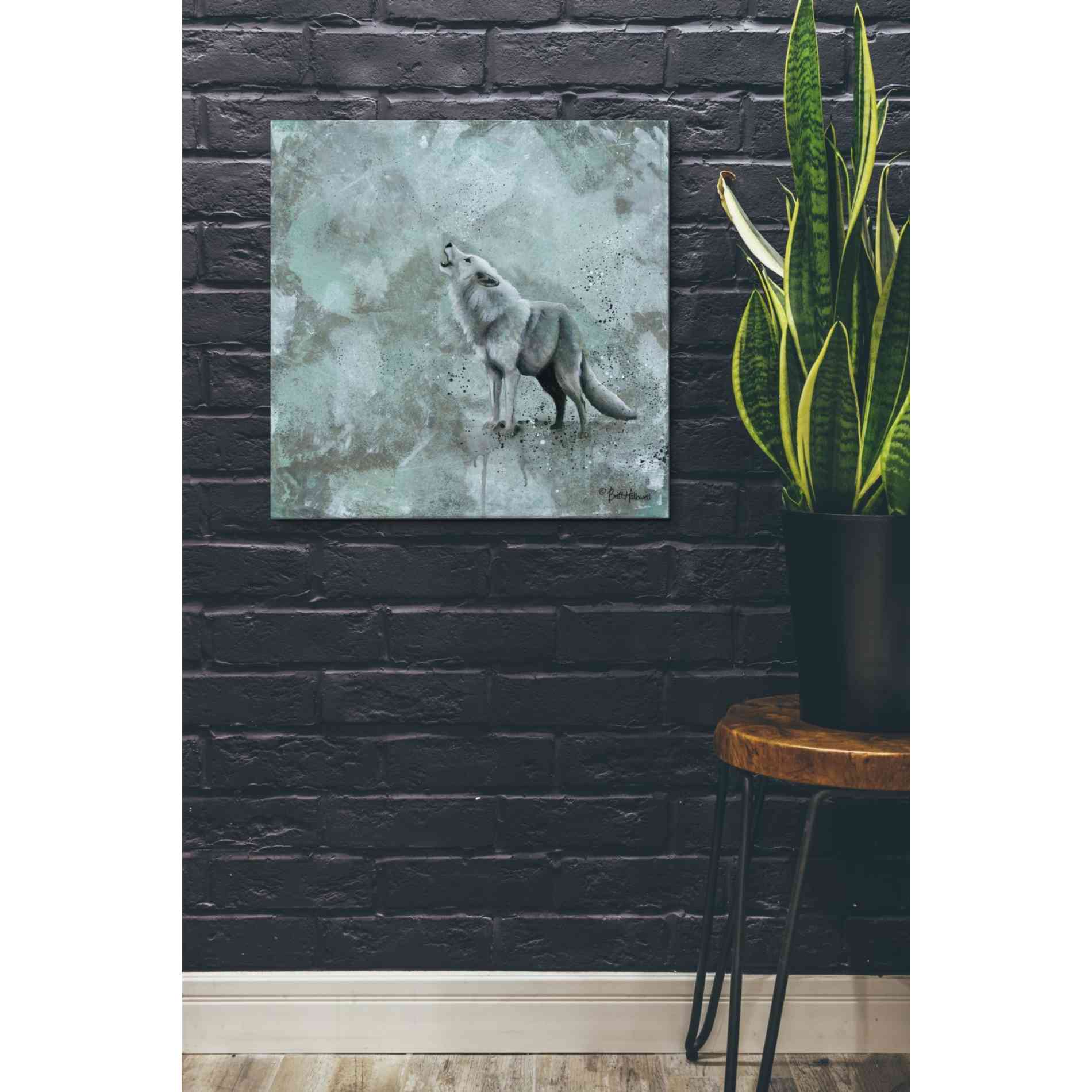 'Simplicity Wolf' by Britt Hallowell, Canvas Wall Art,26 x 26