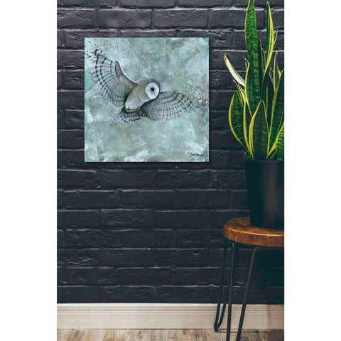 Image of 'Simplicity Owl' by Britt Hallowell, Canvas Wall Art,26 x 26
