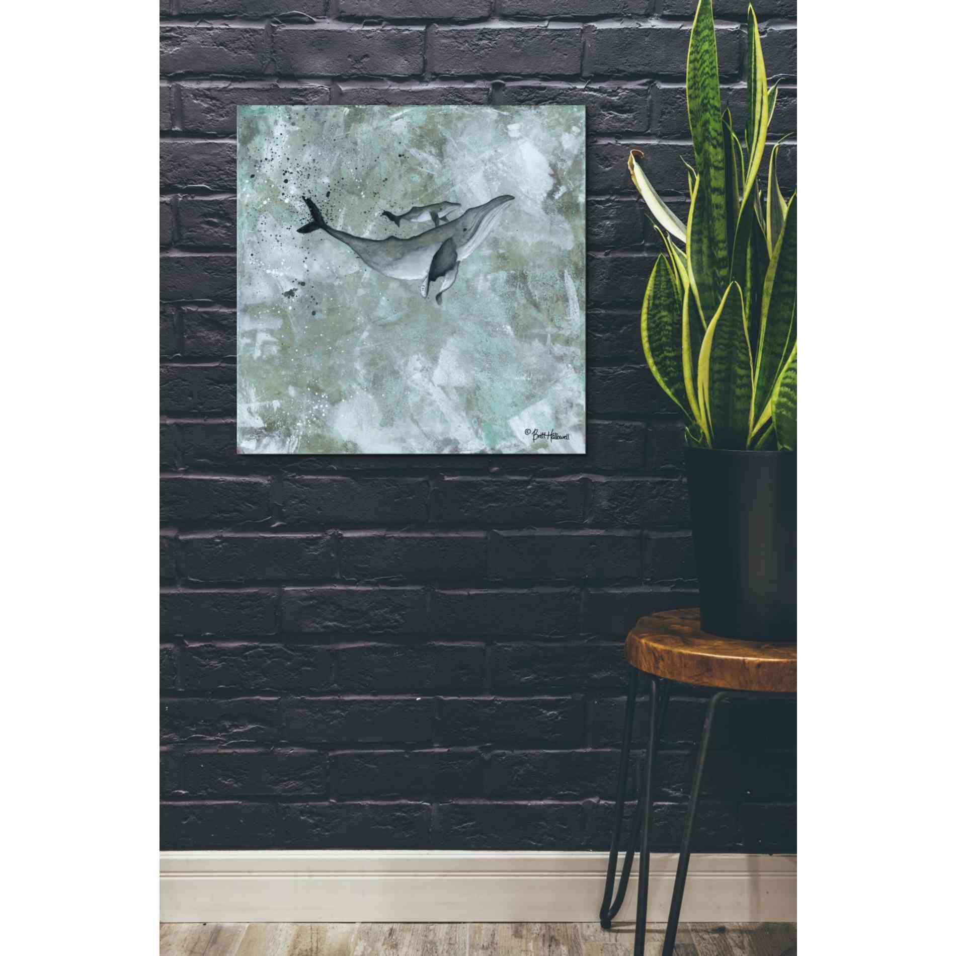 'Simplicity Humpback' by Britt Hallowell, Canvas Wall Art,26 x 26