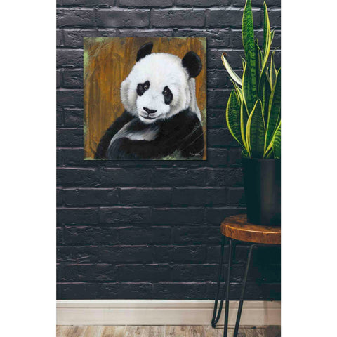 Image of 'Panda Smile' by Britt Hallowell, Canvas Wall Art,26 x 26
