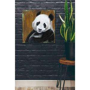 'Panda Smile' by Britt Hallowell, Canvas Wall Art,26 x 26