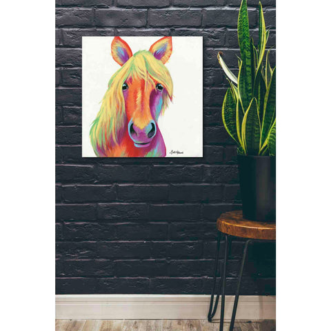 Image of 'Cheery Horse' by Britt Hallowell, Canvas Wall Art,26 x 26
