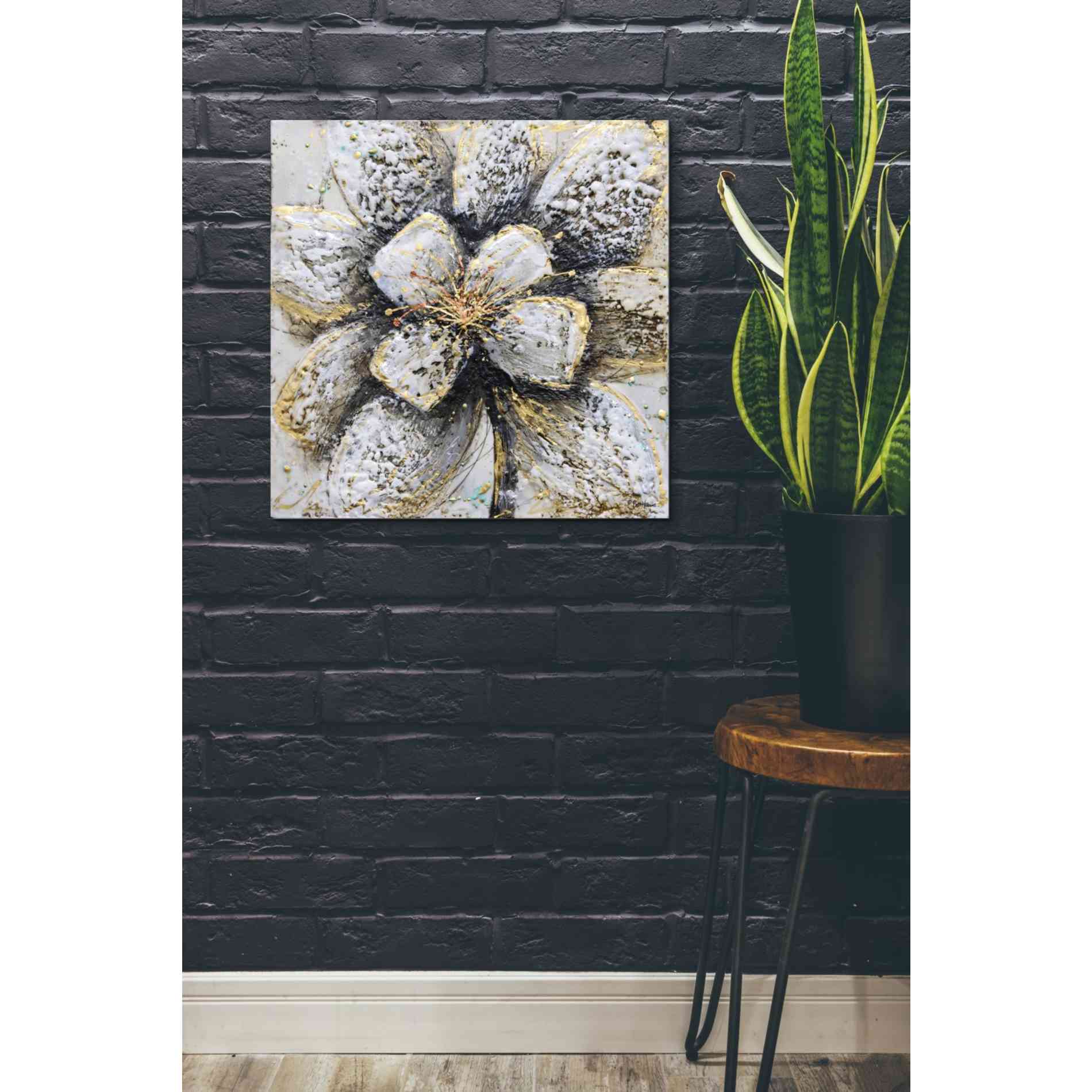 'Explosion of Petals' by Britt Hallowell, Canvas Wall Art,26 x 26