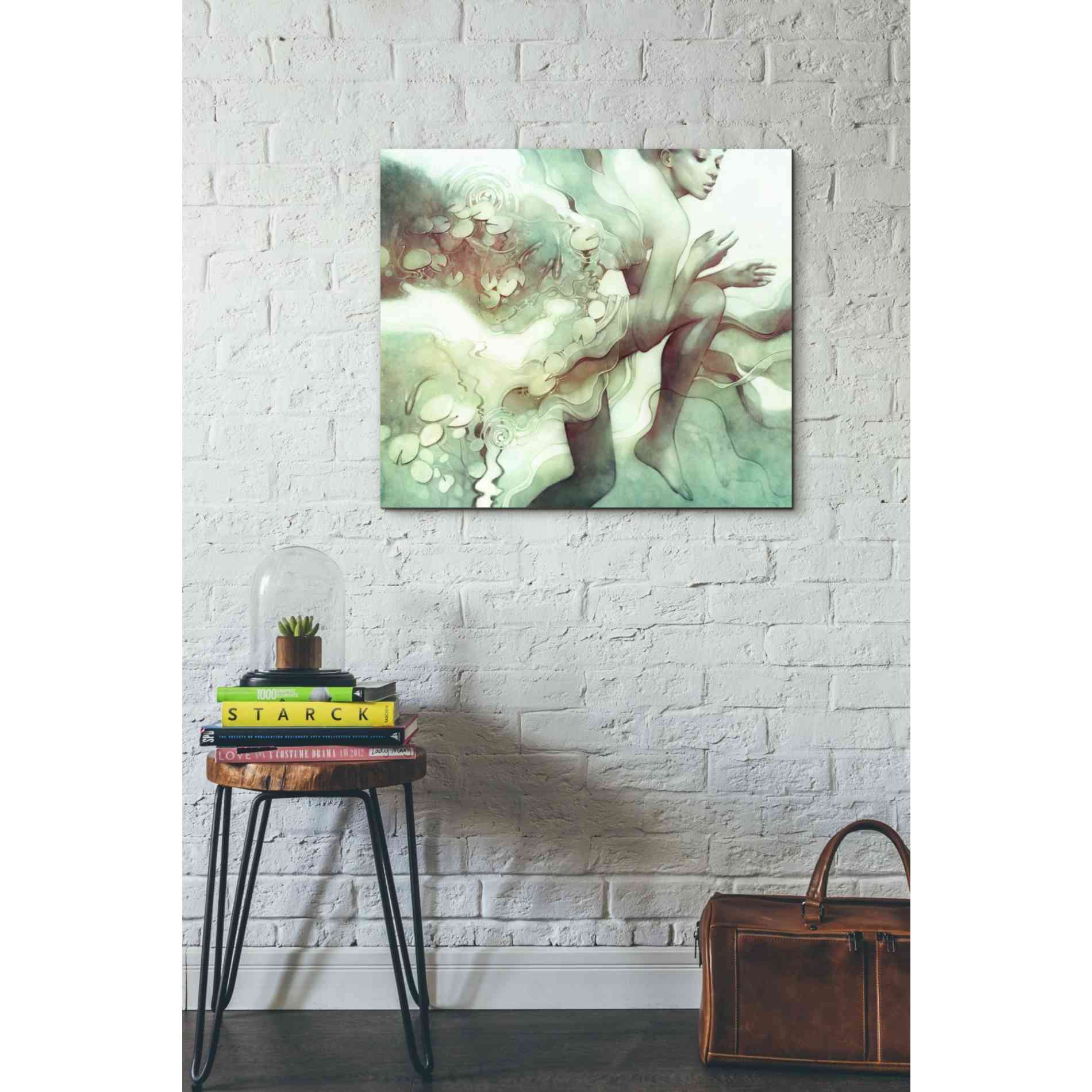 'Flood' by Anna Dittman, Canvas Wall Art,30 x 26