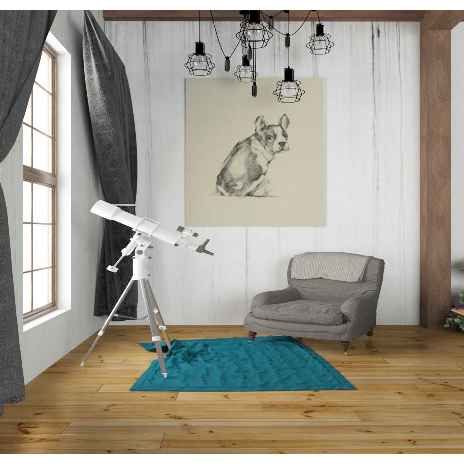 'Puppy Dog Eyes IV' by Ethan Harper Canvas Wall Art,26 x 30