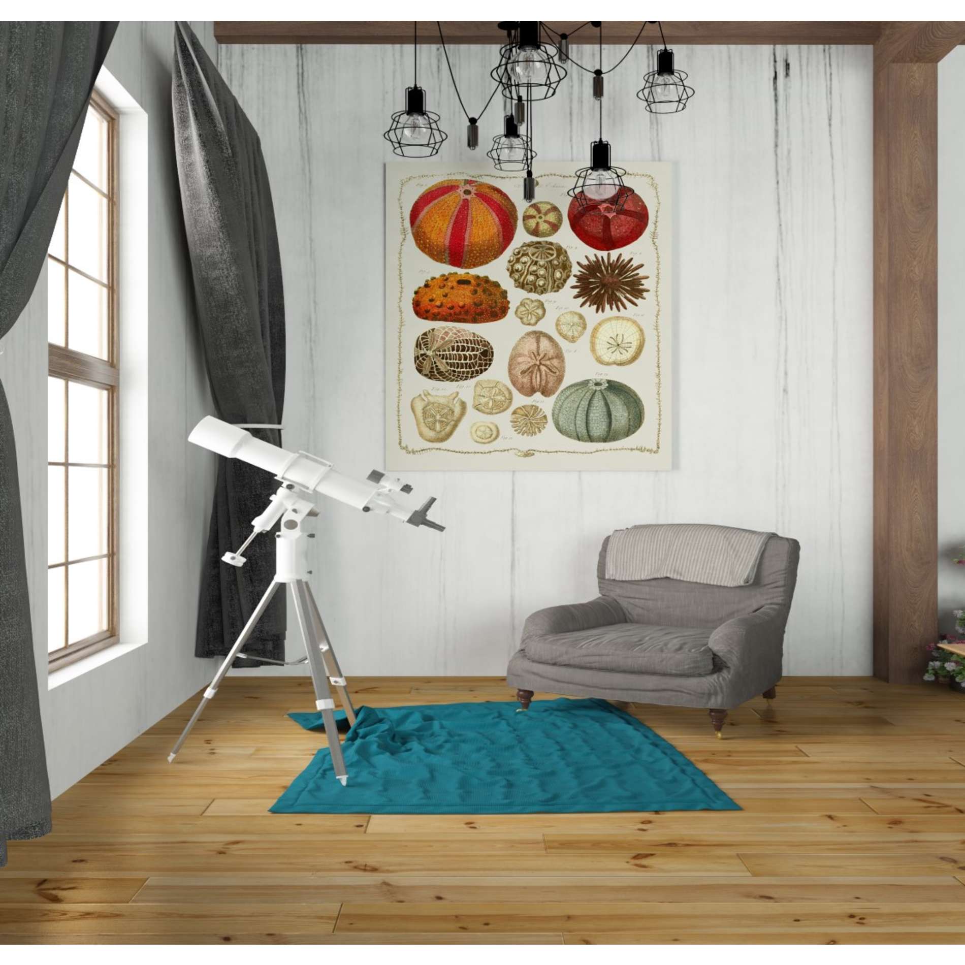 'Starfish and Sea Urchins b,' by Fab Funky, Giclee Canvas Wall Art