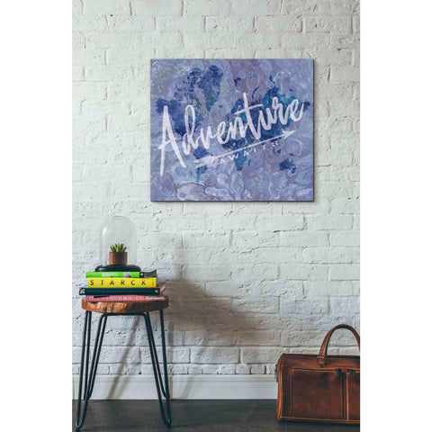 Image of 'Adventure' by Cindy Jacobs, Canvas Wall Art,30 x 26