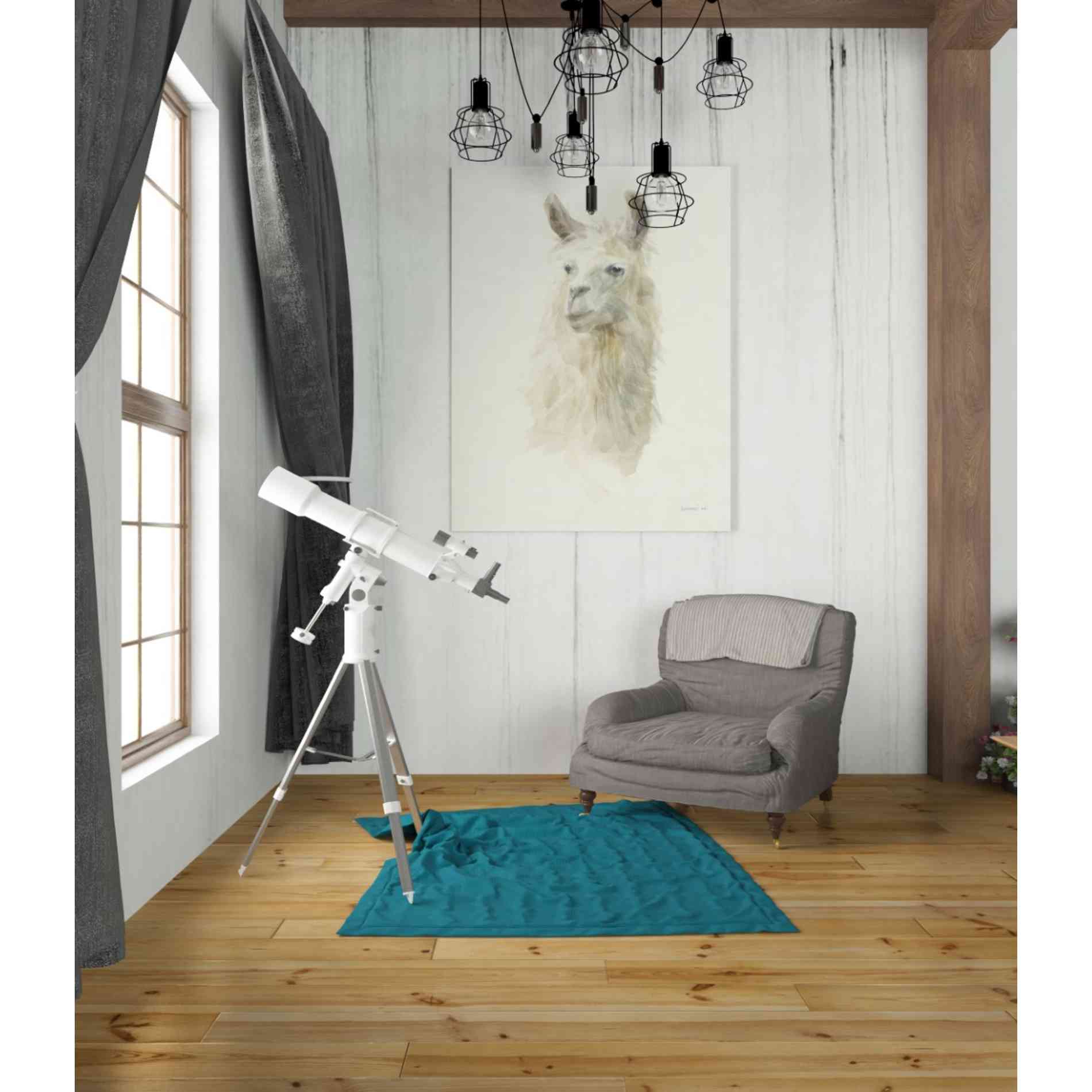 'Classic Llamas II' by Danhui Nai, Canvas Wall Art,26 x 34