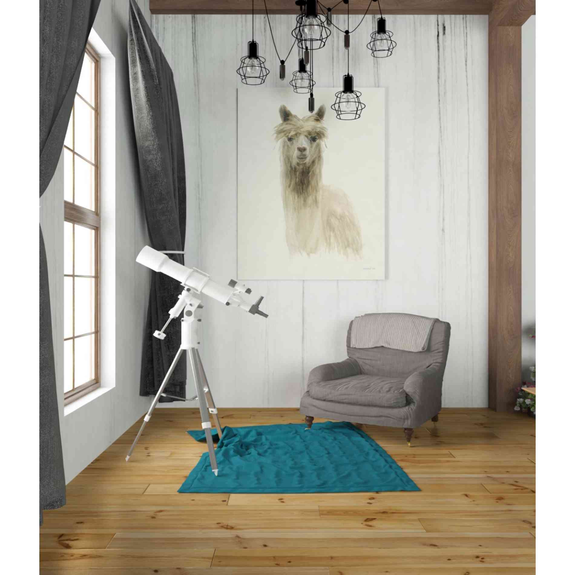 'Classic Llamas I' by Danhui Nai, Canvas Wall Art,26 x 34