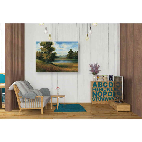 Image of 'Auburn Meadow' by Ethan Harper Canvas Wall Art,34 x 26