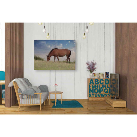 Image of 'Assataegue Horse' by Lori Deiter, Canvas Wall Art,34 x 26