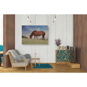 'Assataegue Horse' by Lori Deiter, Canvas Wall Art,34 x 26