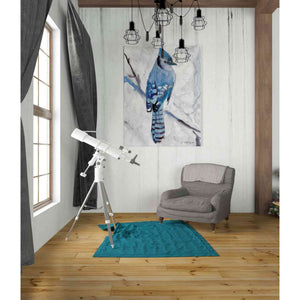'Blue Jay 1' by Stellar Design Studio, Canvas Wall Art,26 x 34