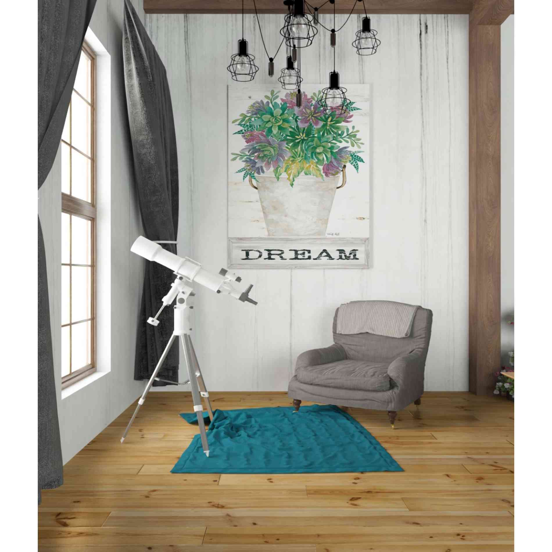 'Dream Succulents' by Cindy Jacobs, Canvas Wall Art,26 x 34